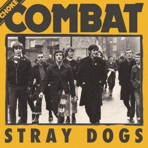 Choke combat stray dogs