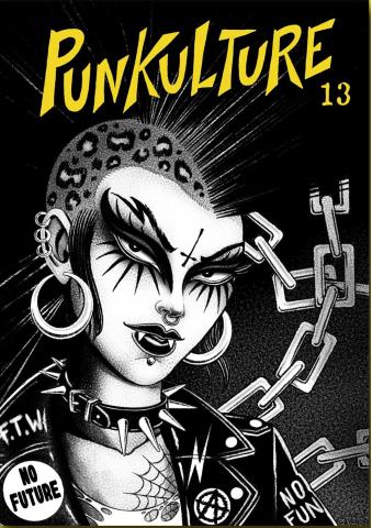 Fanzine punkulture 13