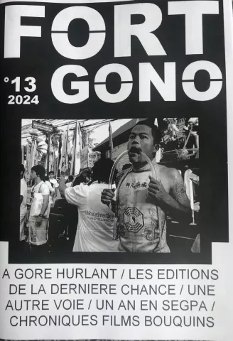 Fort gono 13